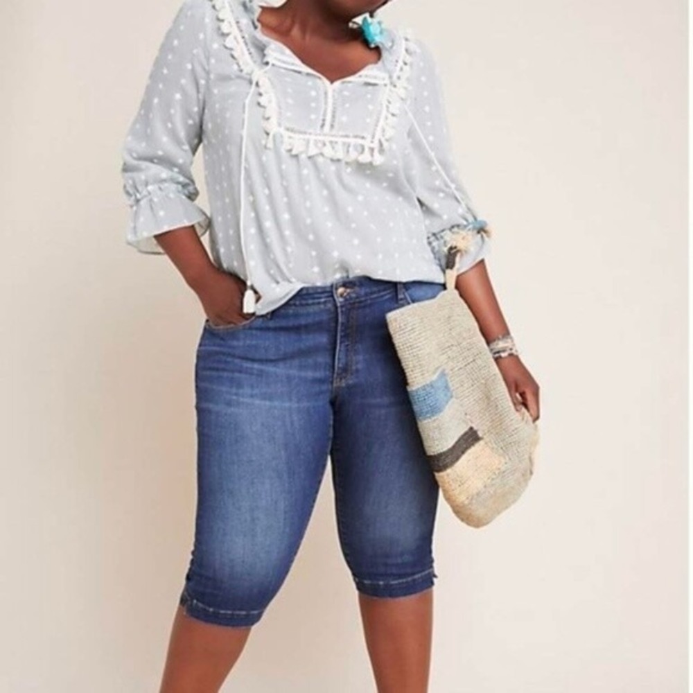 NWT Anthropologie Pilcro Mid-Rise Skinny Pedal Pusher Jeans Size 24 W Plus Size